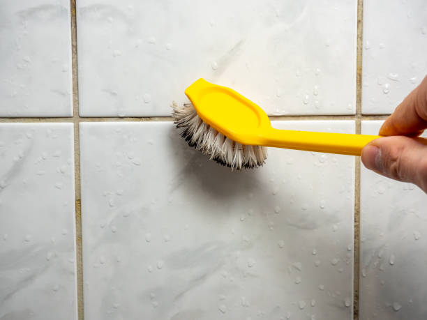 Best Mold Testing  in Holiday City South, NJ