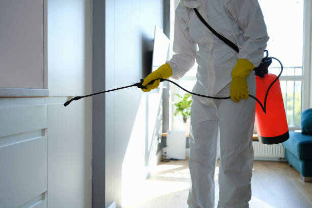 Mold Removal Process in Holiday City South, NJ