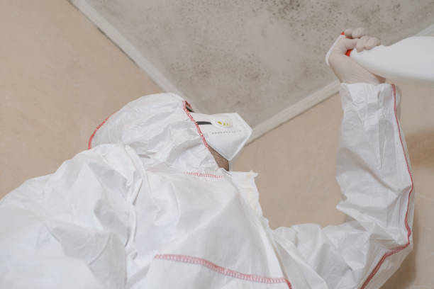 Best Professional Mold Removal  in Holiday City South, NJ